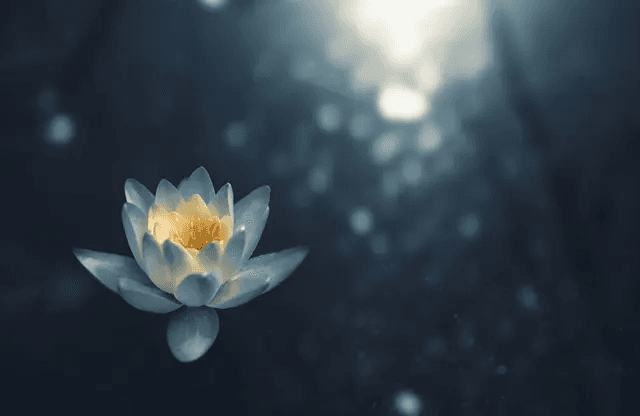 When the World Feels Heavy: A Simple Practice to Calm Your Nervous System